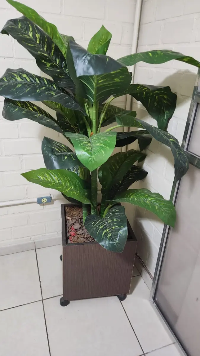 LOTE 141 - 5 VASOS COM PLANTAS