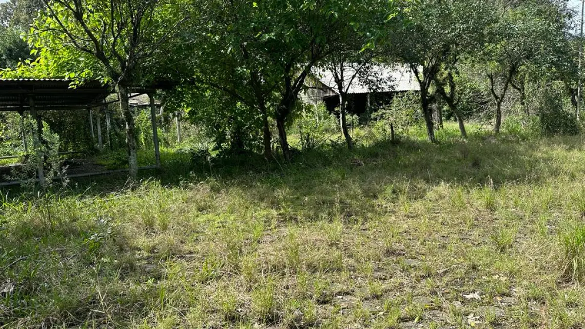 LOTE 000 - imóvel localizado na Av. Antônio Frederico Ozanan nº 1060, B. Brigadeira, em Canoas, c/área do terreno de 30.015,00 m² e áreas construídas de aprox. 11.610,00m²