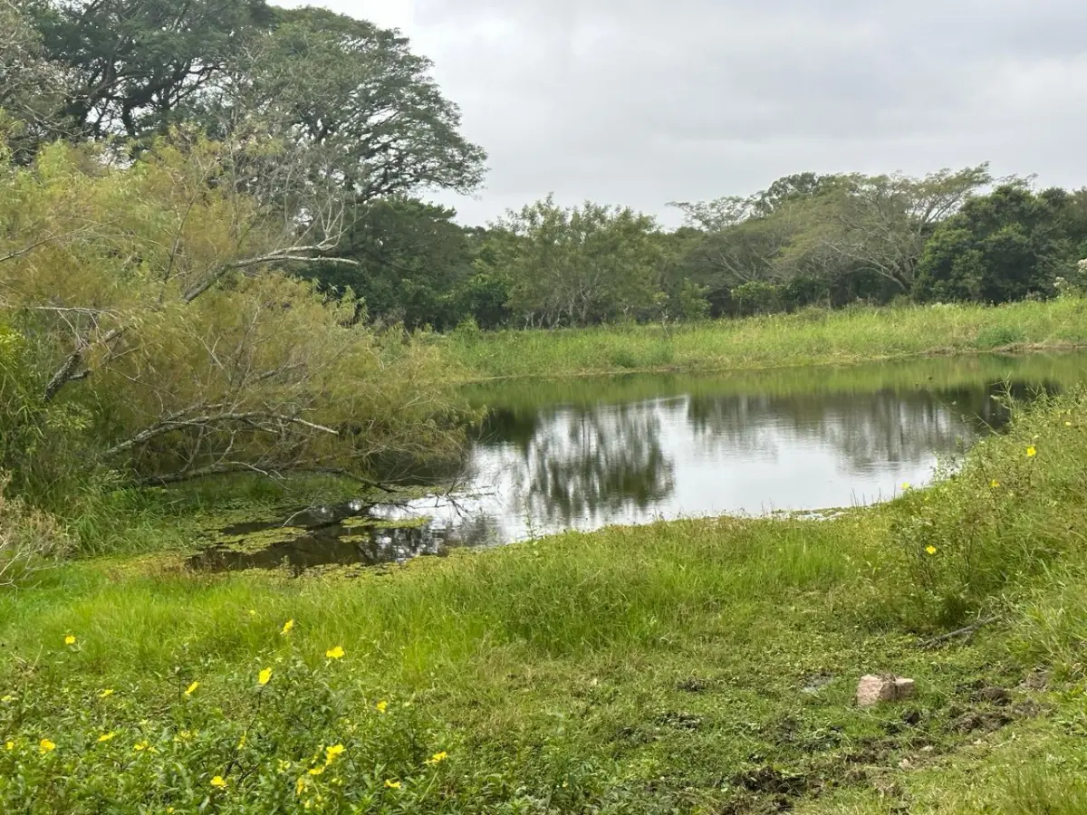 LOTE 000 - SÍTIO COM PISCINA, QUADRAS E SEDE NA ZONA SUL DE POA