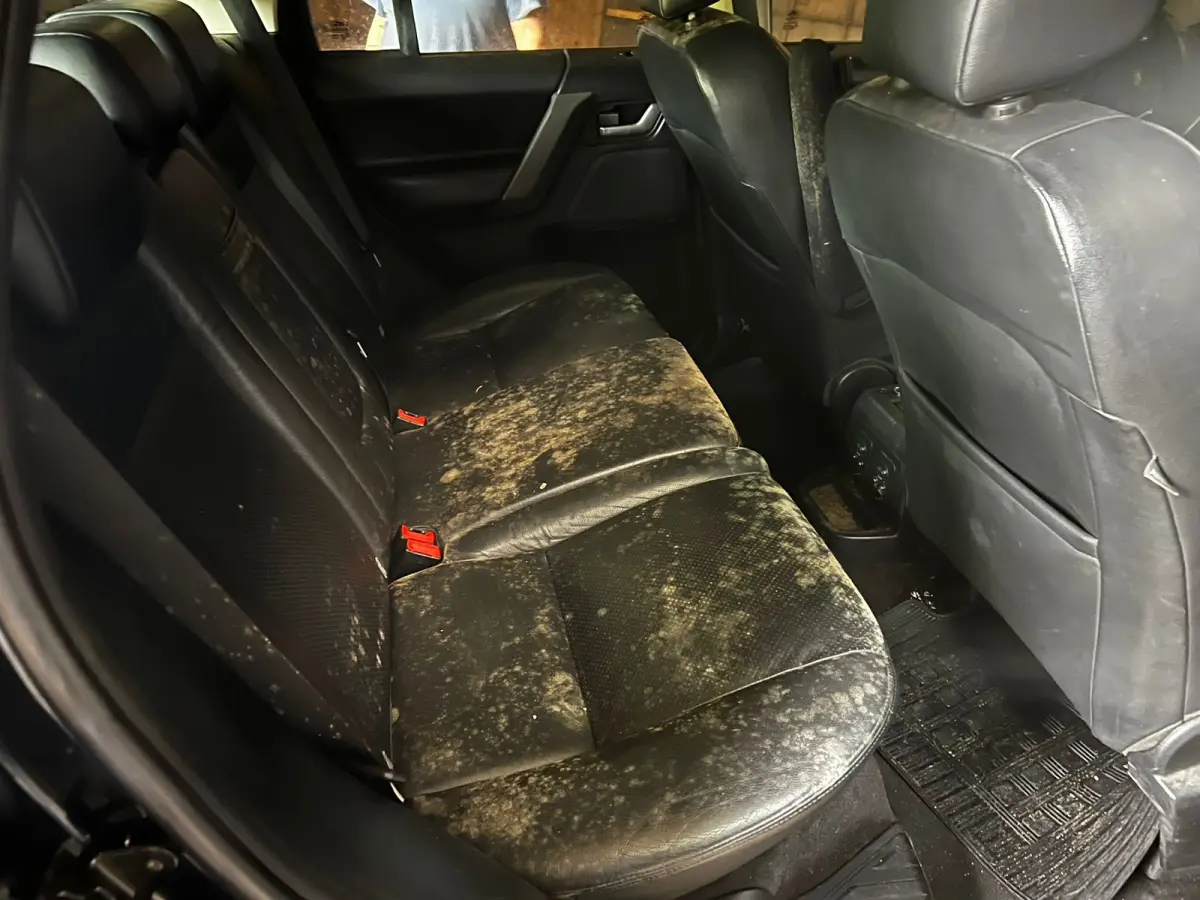 LOTE 002 - I/LR FREELANDER 2 SE I6