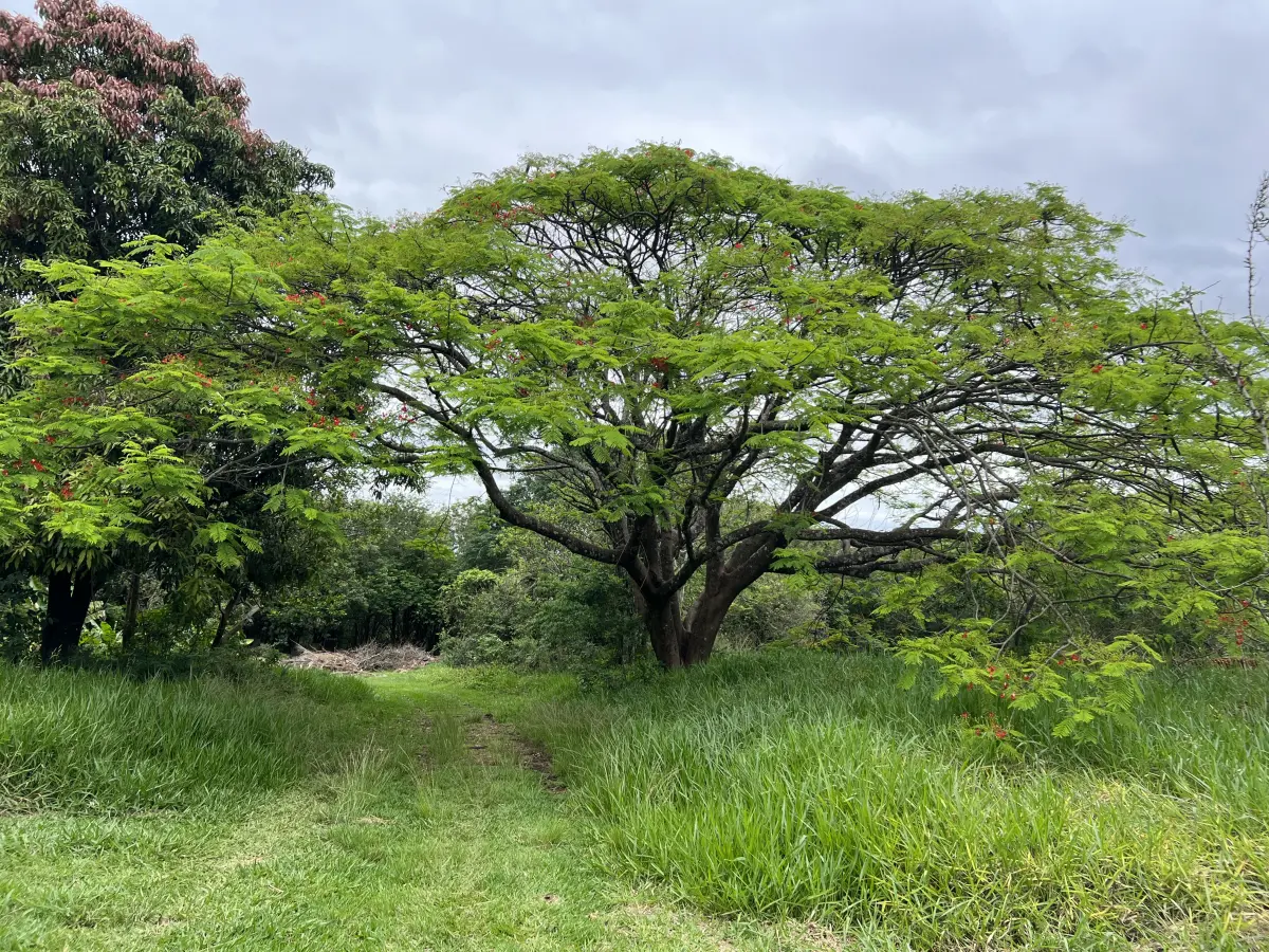 LOTE 001 - GRANDE IMÓVEL COM 35.000M2 EM PIRACICABA COM CASAS - FAZENDINHA - LADO DA UNIMEP
