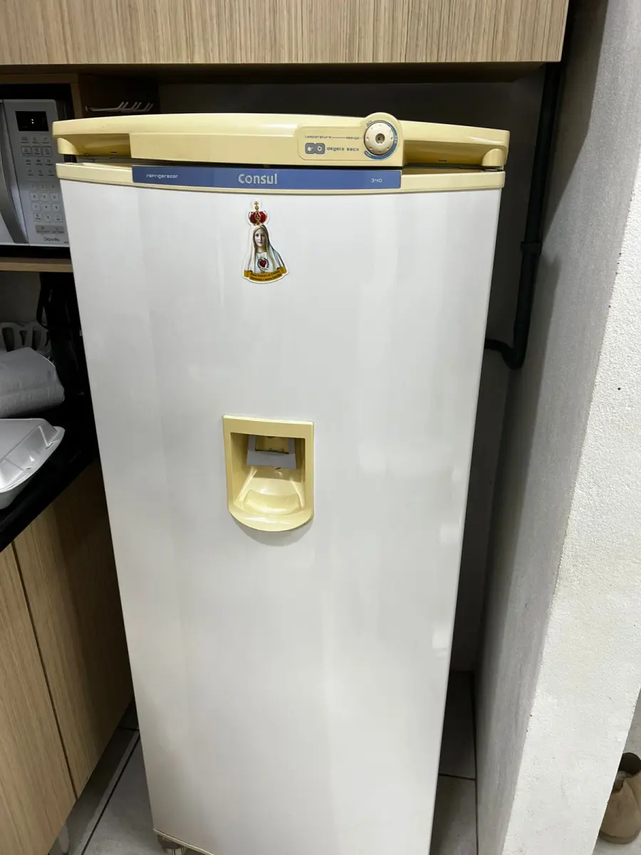 LOTE 010 - Geladeira Consul 