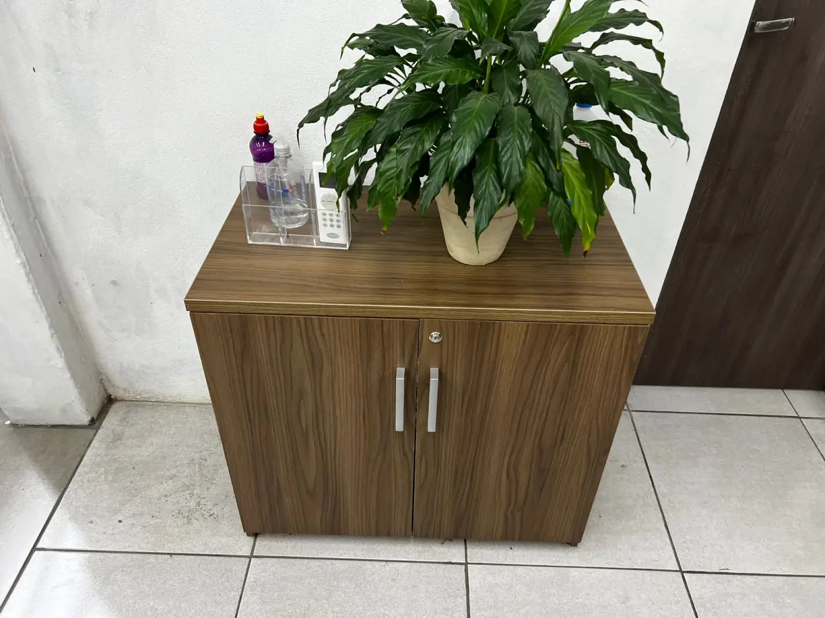 LOTE 021 - Armário 2 portas baixo 