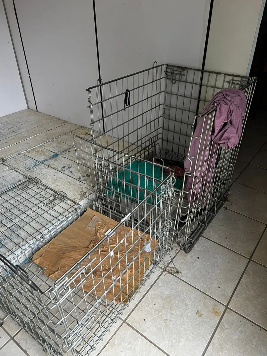 LOTE 000 - Máquinas costura (overlock Jack, plana, overlock antiga, plana Lumak, plana Lanmax, over vermelha) BENS EM  PRESIDENTE GETULIO - SC