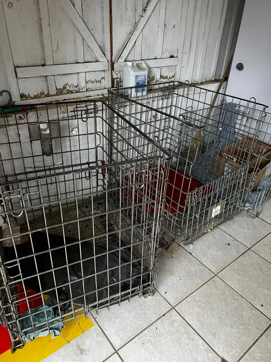 LOTE 000 - Máquinas costura (overlock Jack, plana, overlock antiga, plana Lumak, plana Lanmax, over vermelha) BENS EM  PRESIDENTE GETULIO - SC