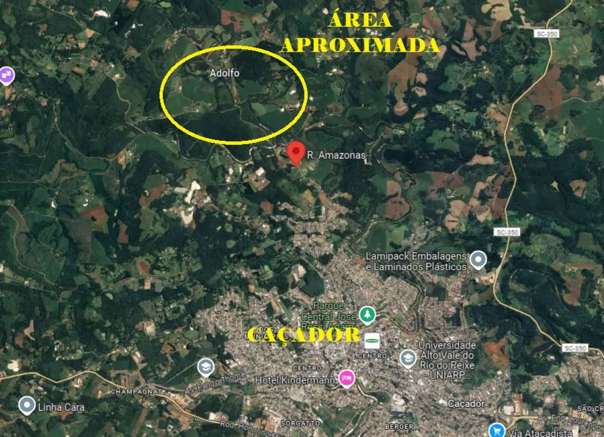 LOTE 000 - Terreno rural, sem benfeitorias, com a área de 106.000,00 m², situado na Fazenda Capão Alto, no lugar Adolfo Konder, no Município e Comarca de Caçador/SC