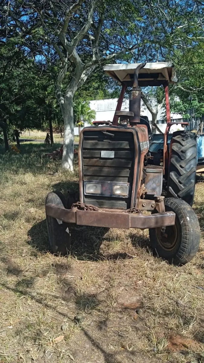LOTE 018 - TRATOR mf 295
