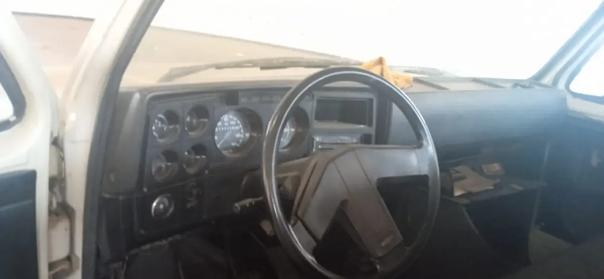 LOTE 007 - CAMINHONETE D20