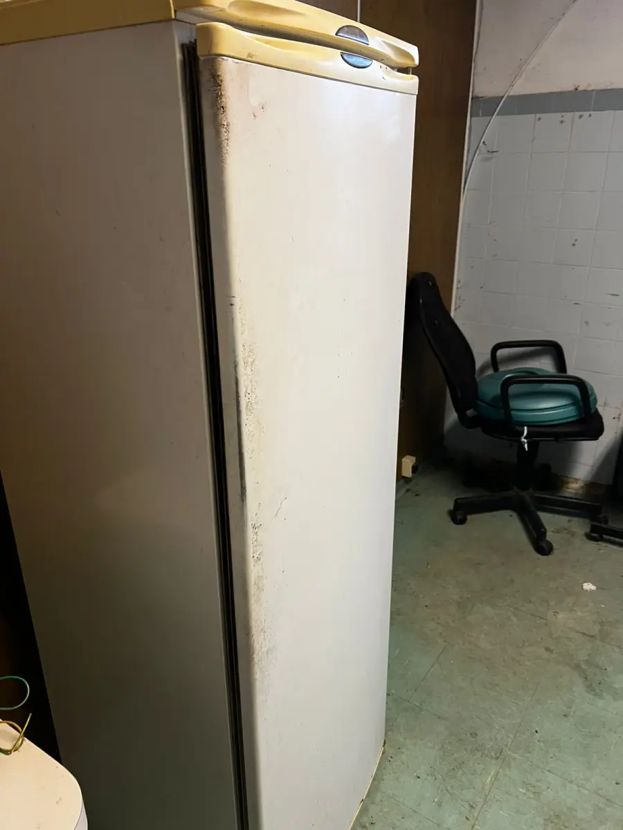 LOTE 001 - Lote englobado de diversos itens