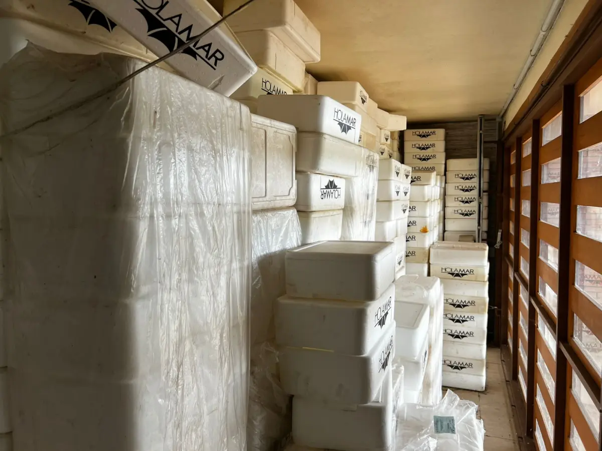 LOTE 001 - O imóvel localizado na Linha São Jacó, em Teutônia/RS. Sendo um área de terras com a superfície de 8.500m²