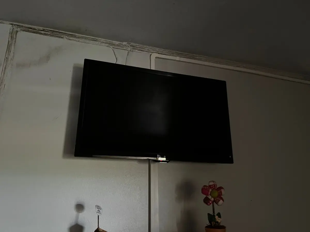 LOTE 001 - O imóvel localizado na Linha São Jacó, em Teutônia/RS. Sendo um área de terras com a superfície de 8.500m²