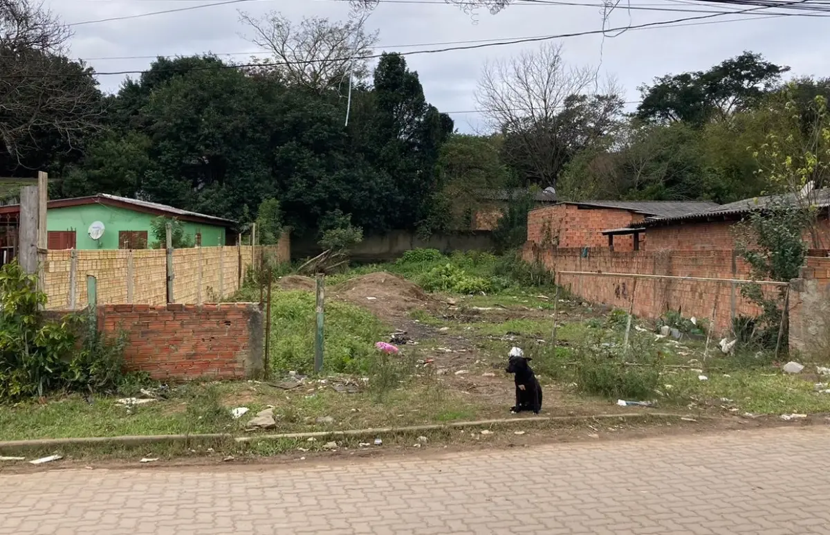 LOTE 117 - Um terreno constituído do lote número onze (11), da quadra número vinte e sete (27)
