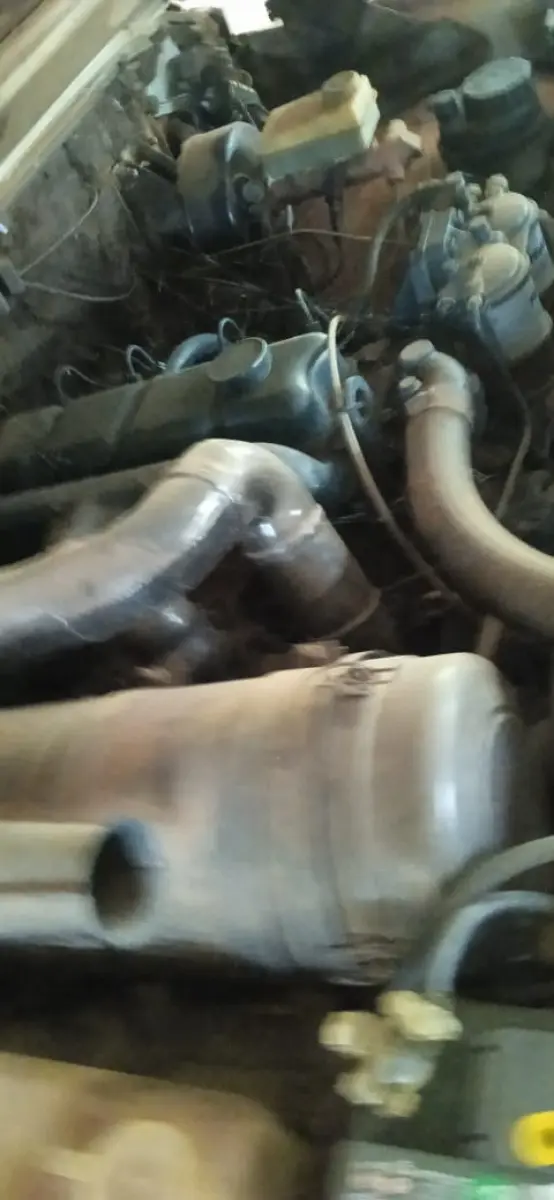 LOTE 007 - CAMINHONETE D20