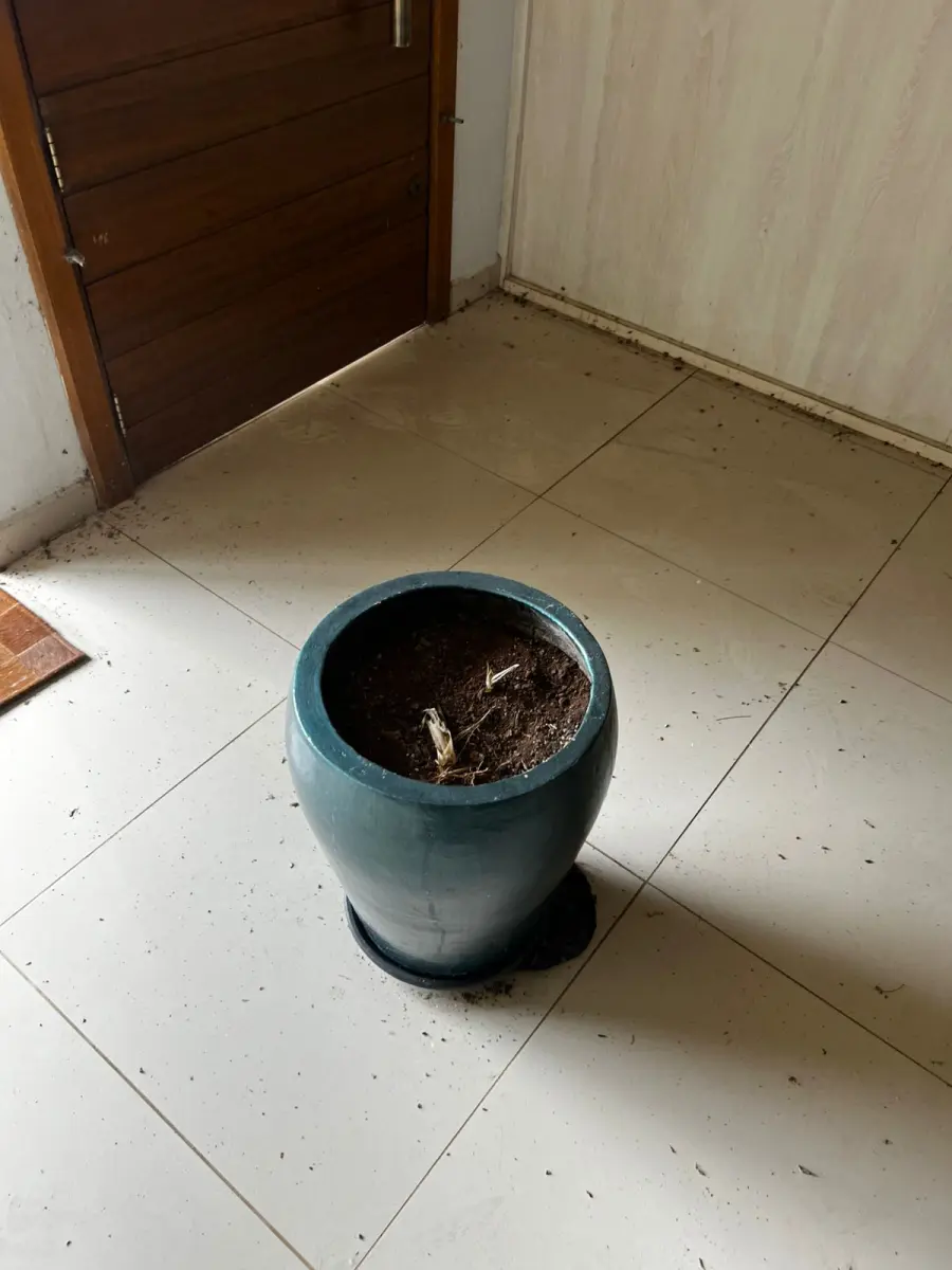 LOTE 001 - O imóvel localizado na Linha São Jacó, em Teutônia/RS. Sendo um área de terras com a superfície de 8.500m²