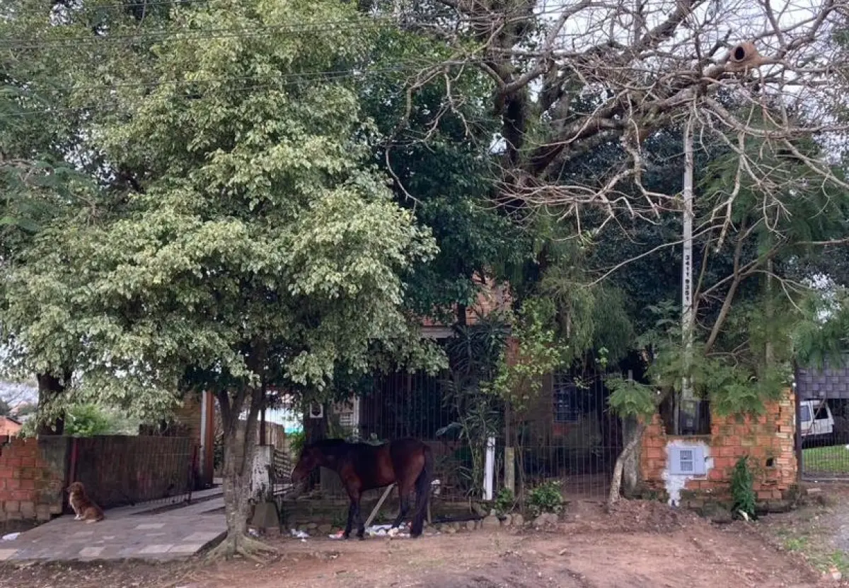 LOTE 038 - Um terreno constituído do lote número dezenove (19) da quadra número vinte e oito (28)
