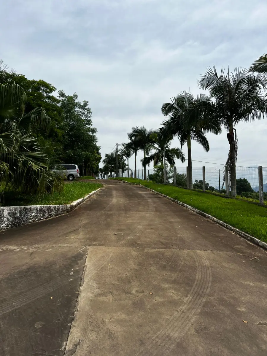 LOTE 001 - O imóvel localizado na Linha São Jacó, em Teutônia/RS. Sendo um área de terras com a superfície de 8.500m²