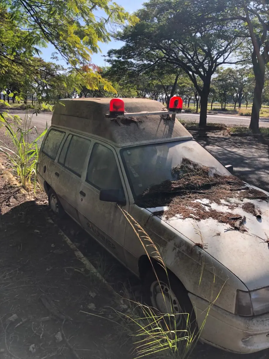 LOTE 012 - KADET/IPANEMA