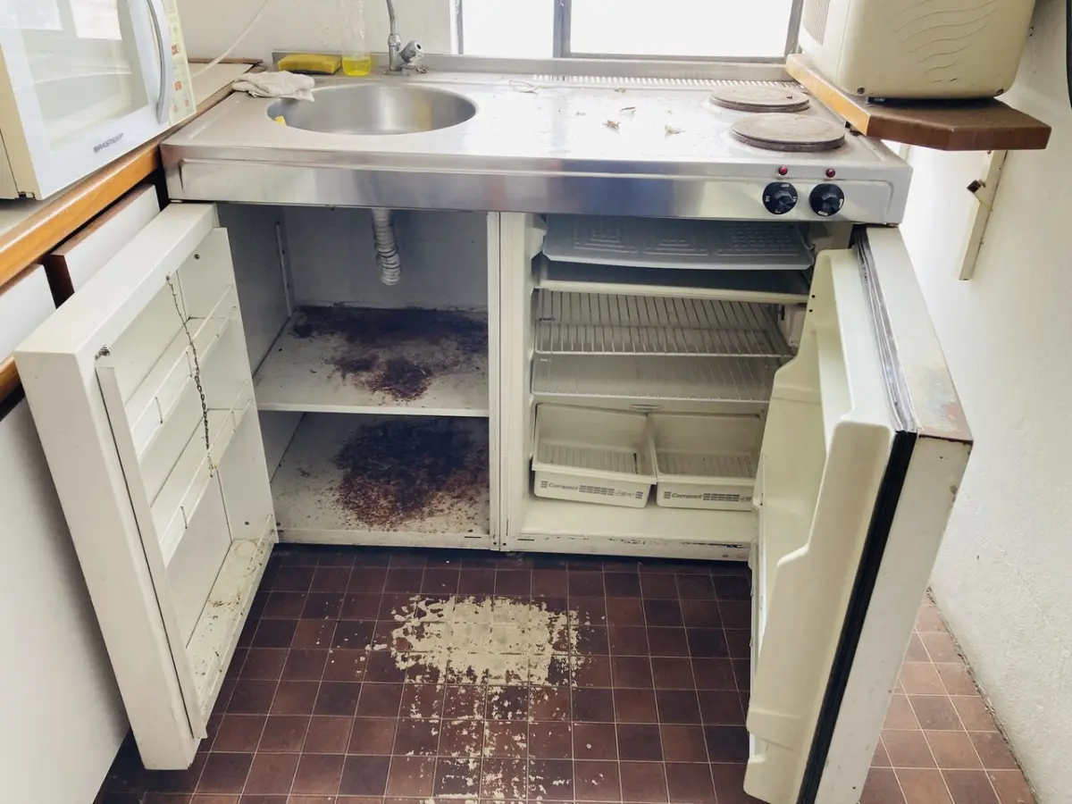 LOTE 007 - Bens diversos