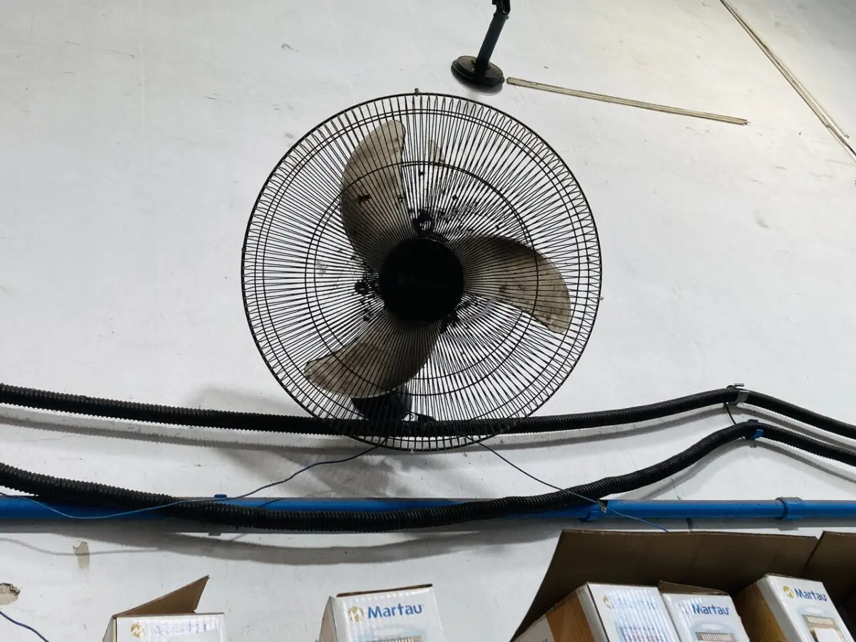 LOTE 007 - Bens diversos