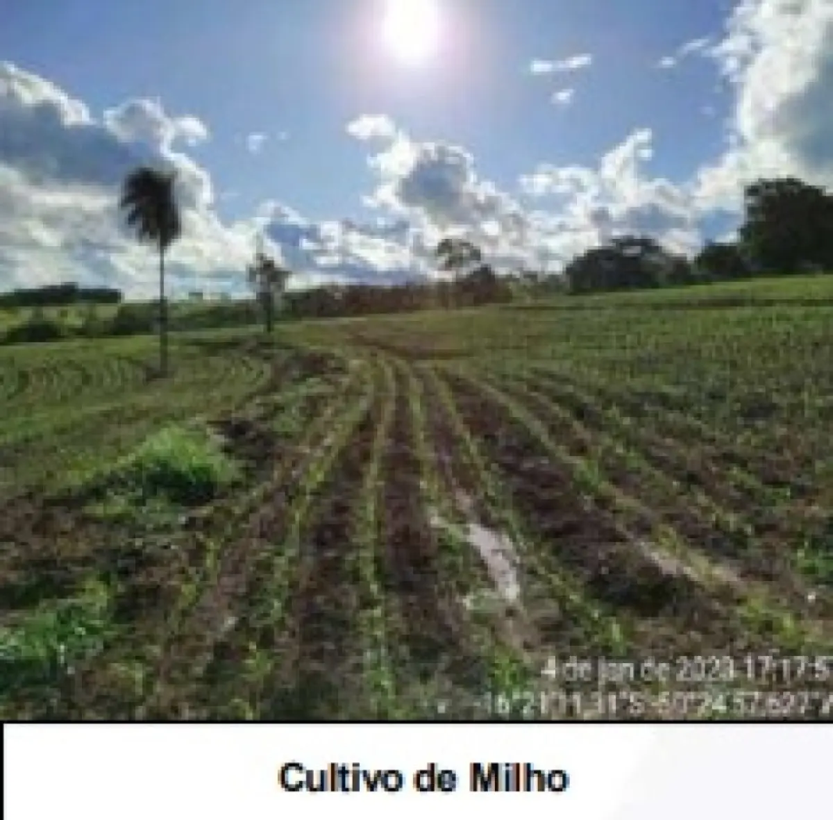 LOTE 001 - UMA FAZENDA EM GOIAS COM 43,2048 HECTARES EM SÃO LUIS DE MONTES BELOS