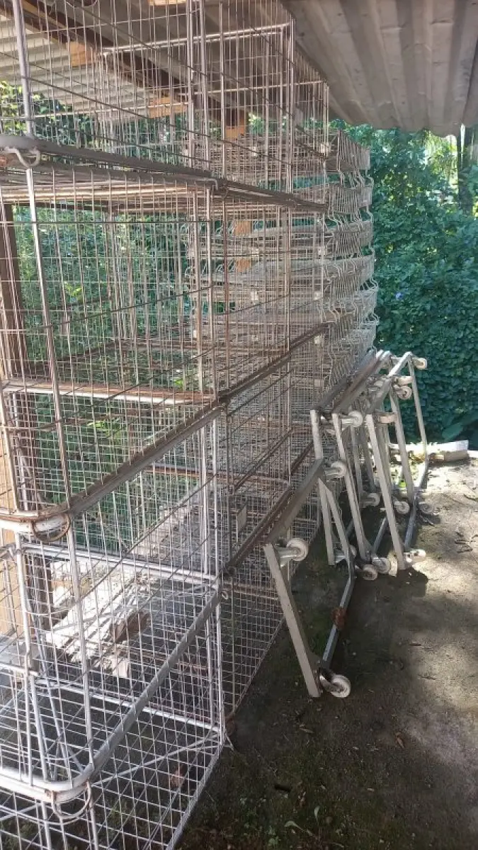 LOTE 000 - Maquinas de costura e gaiolas