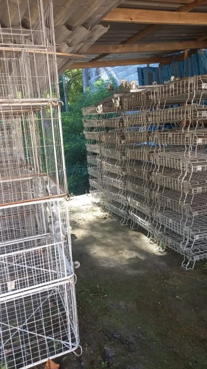 LOTE 000 - Maquinas de costura e gaiolas