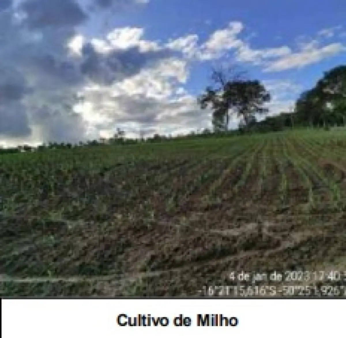 LOTE 001 - UMA FAZENDA EM GOIAS COM 43,2048 HECTARES EM SÃO LUIS DE MONTES BELOS