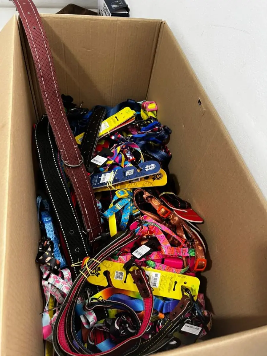 LOTE 001 - Loja agropecuária completa (toda a loja)