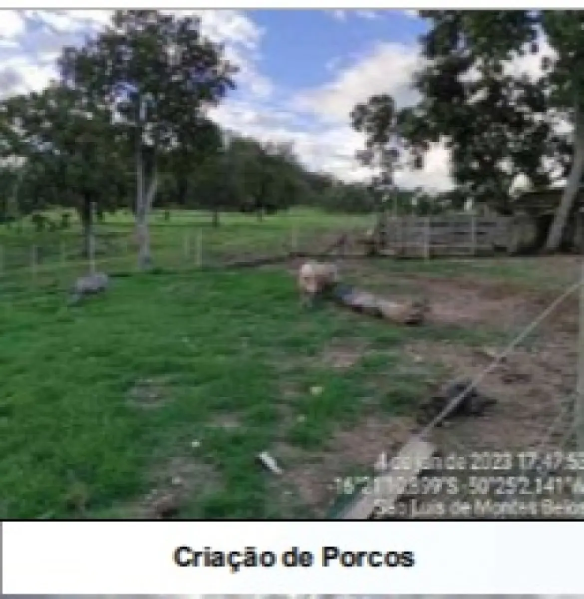 LOTE 001 - UMA FAZENDA EM GOIAS COM 43,2048 HECTARES EM SÃO LUIS DE MONTES BELOS