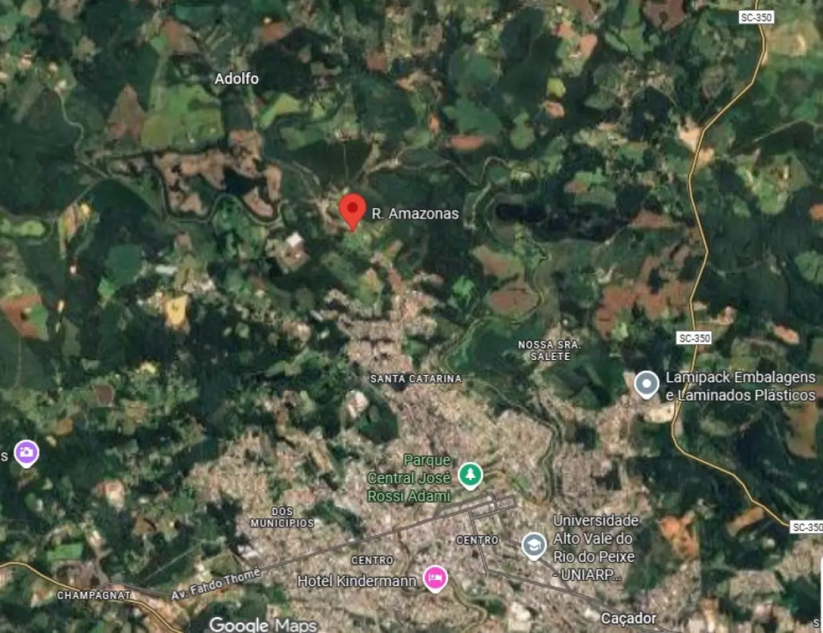 LOTE 000 - Terreno rural, sem benfeitorias, com a área de 106.000,00 m², situado na Fazenda Capão Alto Segundo a avaliação, no terreno há uma casa mista medindo 09x15m