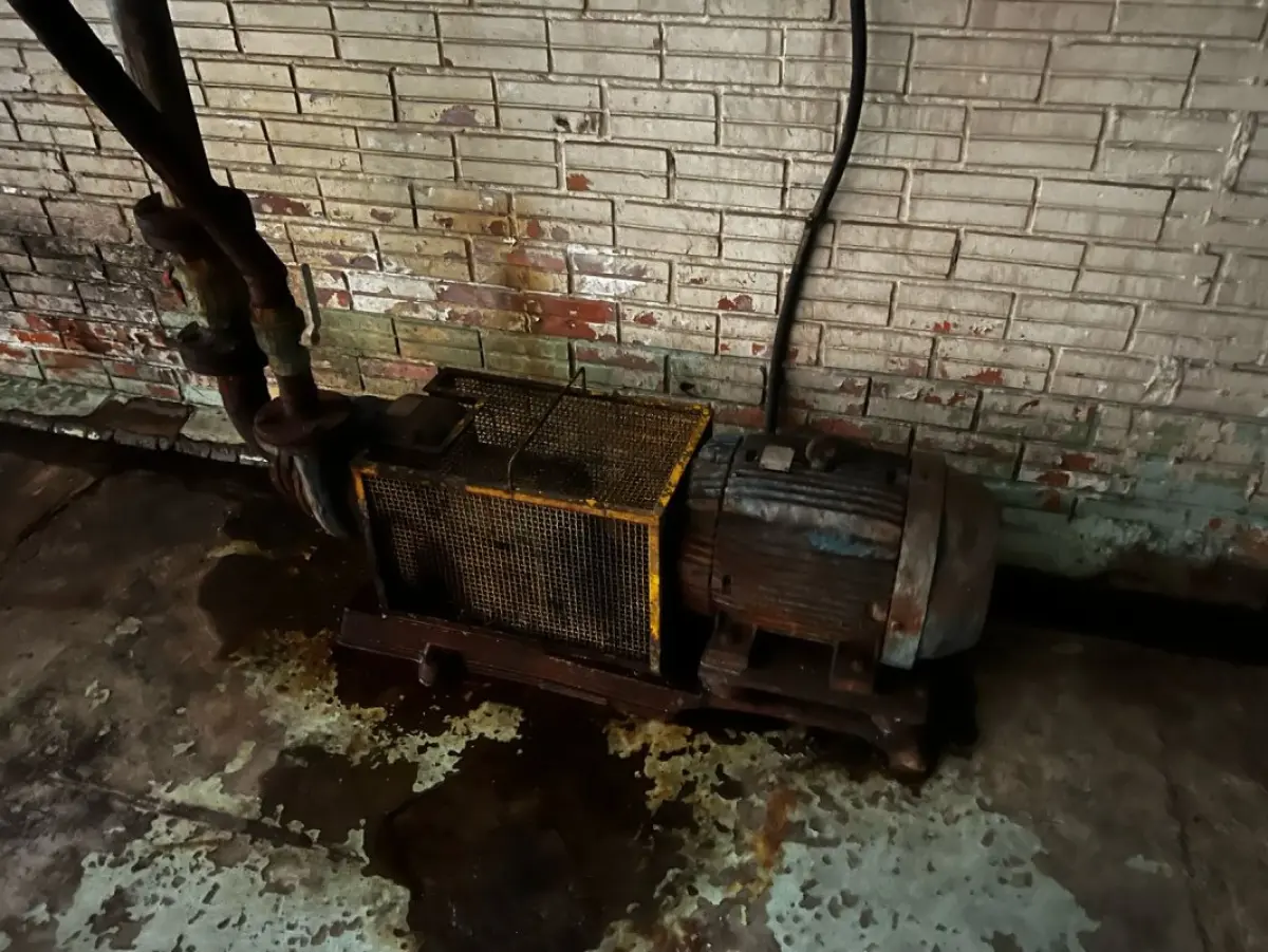 LOTE 018 - Derivados