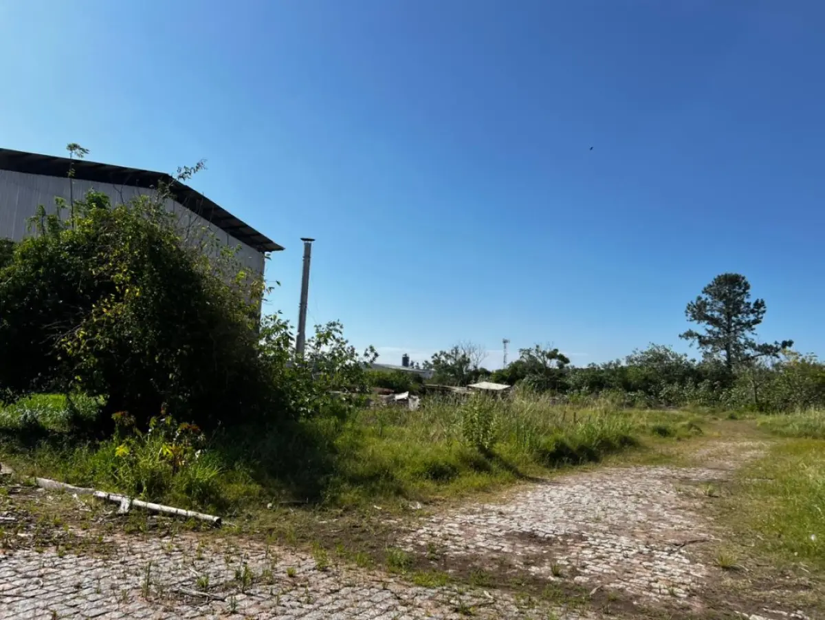 LOTE 001 - Uma área de terras com 39.353,50m² - Uma fração de terras, situada à margem da BR-116 com 77.925m²