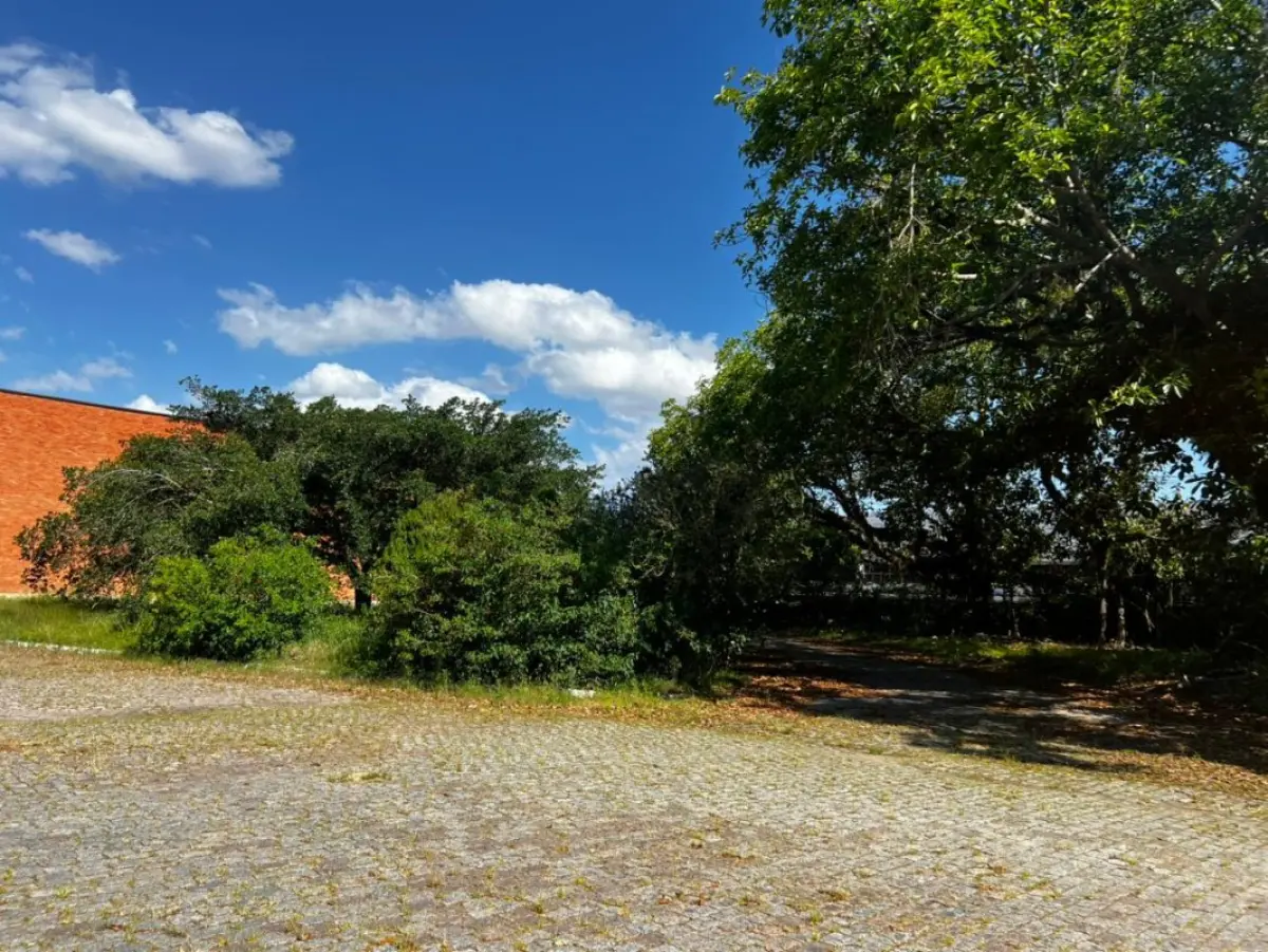 LOTE 001 - Uma área de terras com 39.353,50m² - Uma fração de terras, situada à margem da BR-116 com 77.925m²