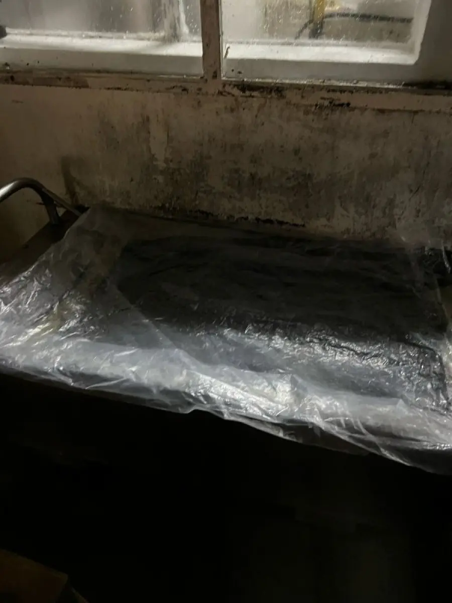 LOTE 018 - Derivados