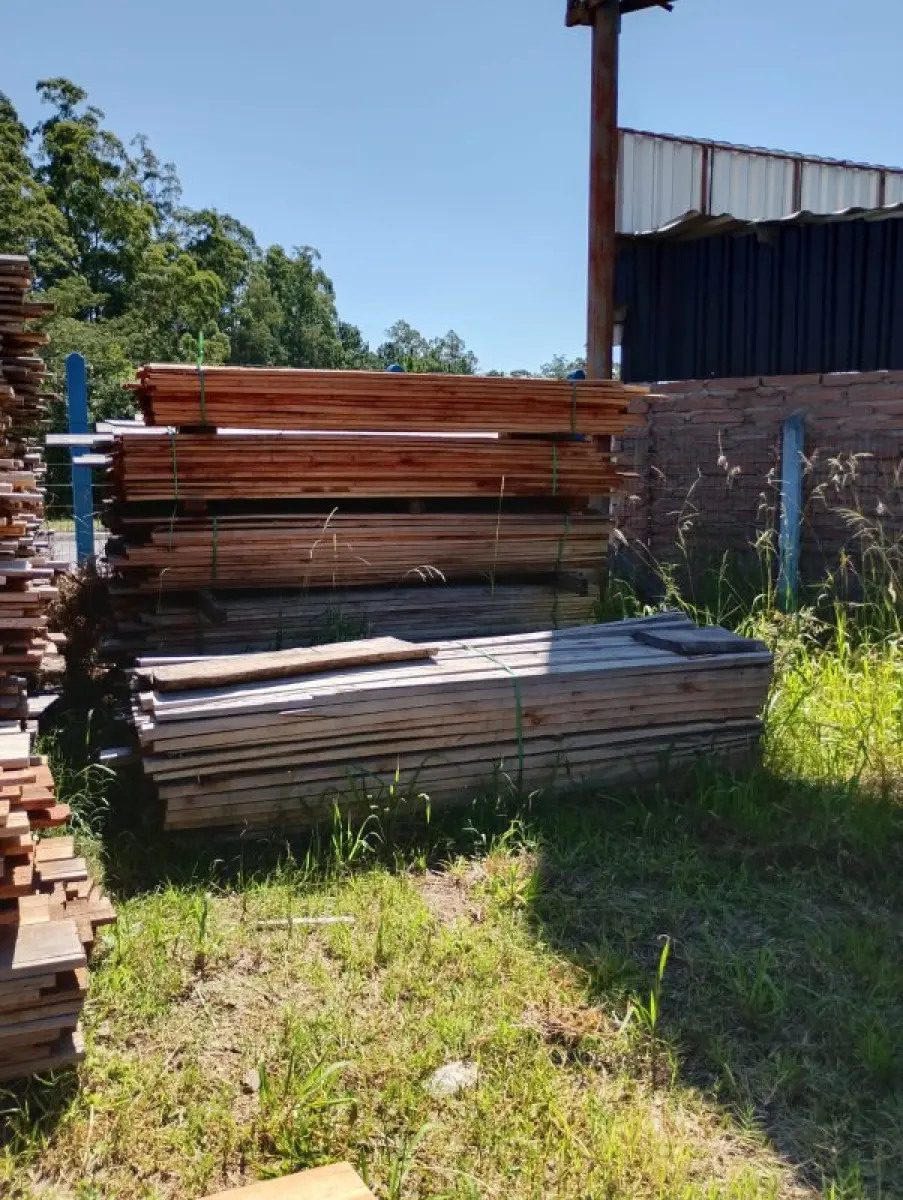 LOTE 000 - Dois metros e meio cúbicos de madeira eucalipto de várias bitolas e vários tamanhos.