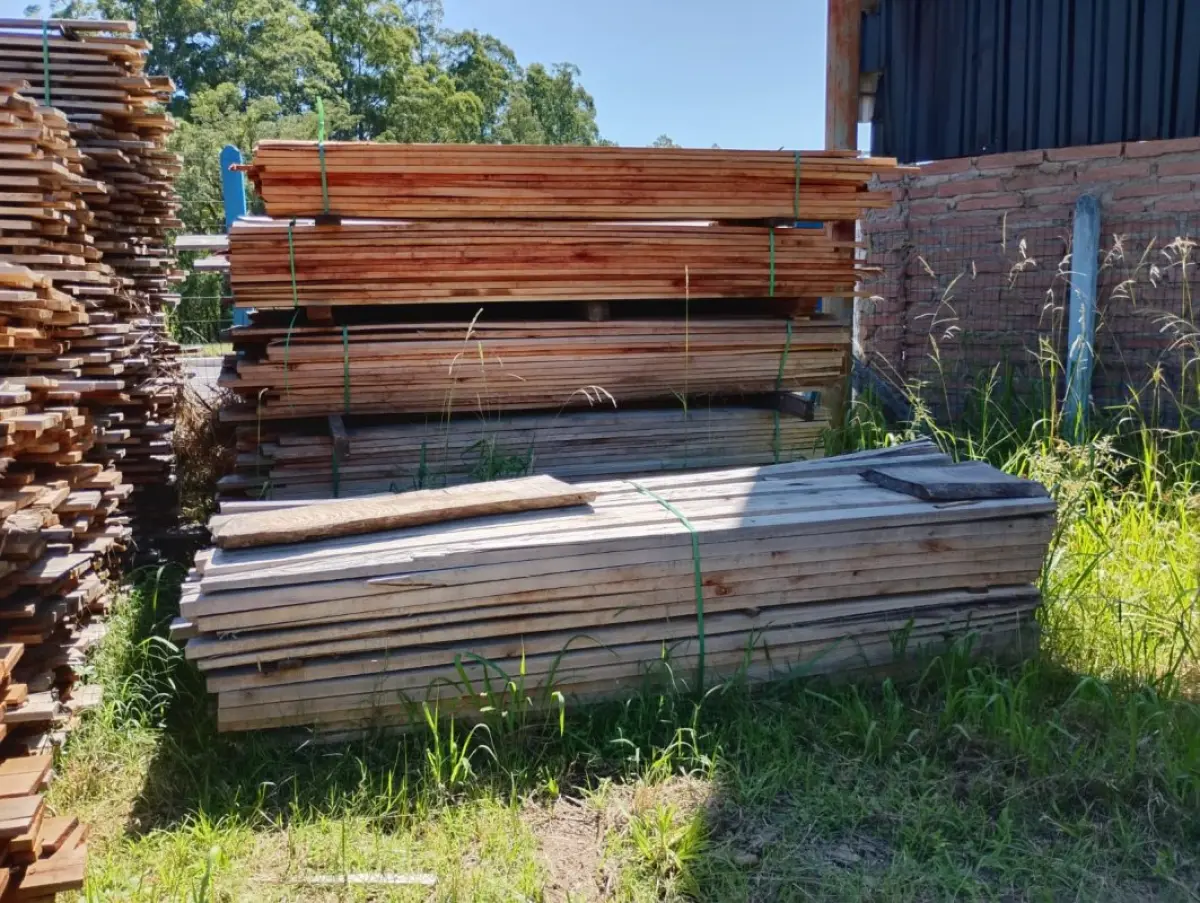 LOTE 000 - Dois metros e meio cúbicos de madeira eucalipto de várias bitolas e vários tamanhos.