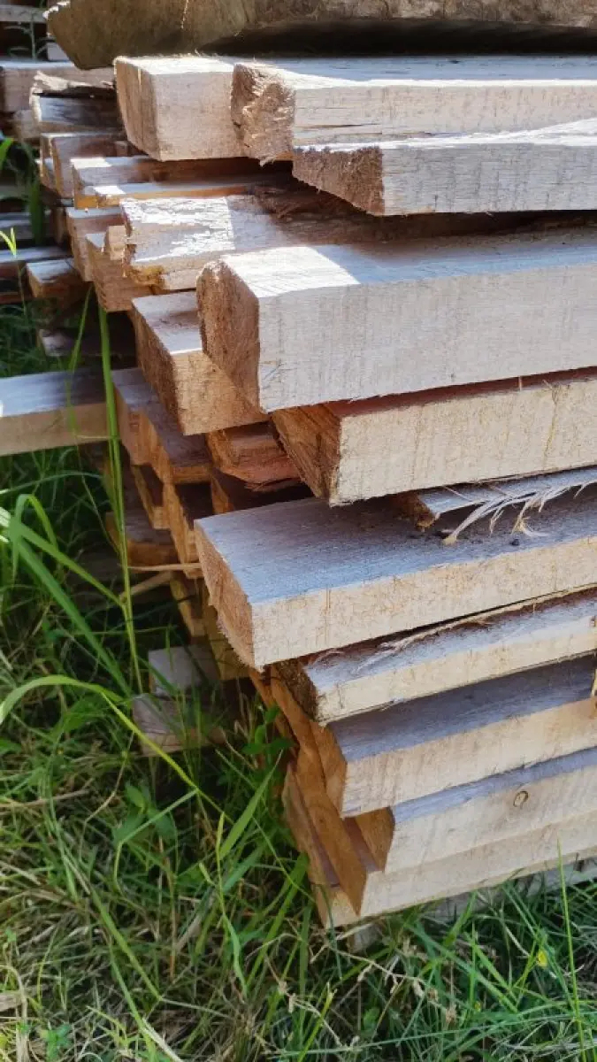 LOTE 000 - Dois metros e meio cúbicos de madeira eucalipto de várias bitolas e vários tamanhos.