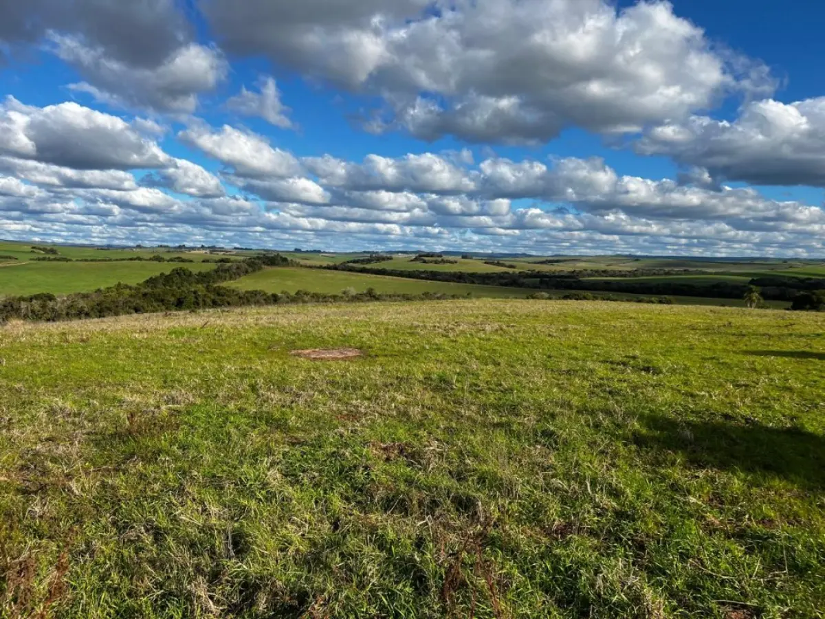 LOTE 001 - Um imóvel rural com área superficial de 1.674.183,00m²