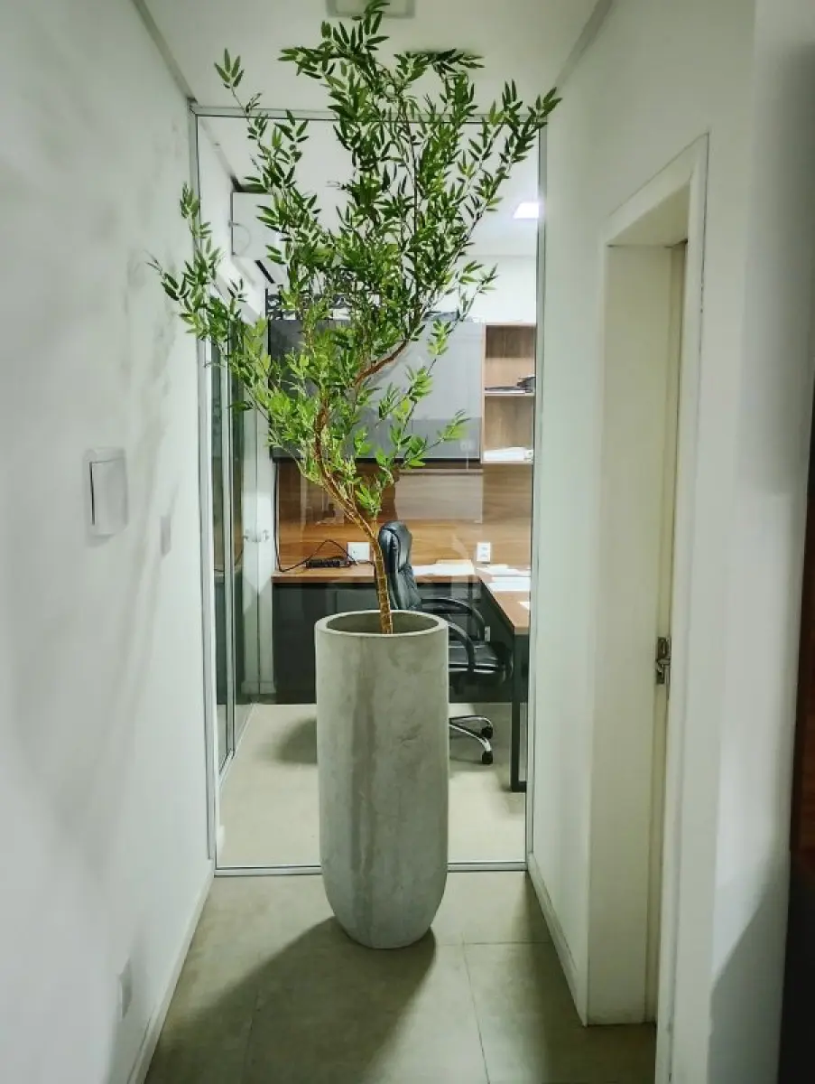 LOTE 134 - 4 Vaso de Cimento com planta