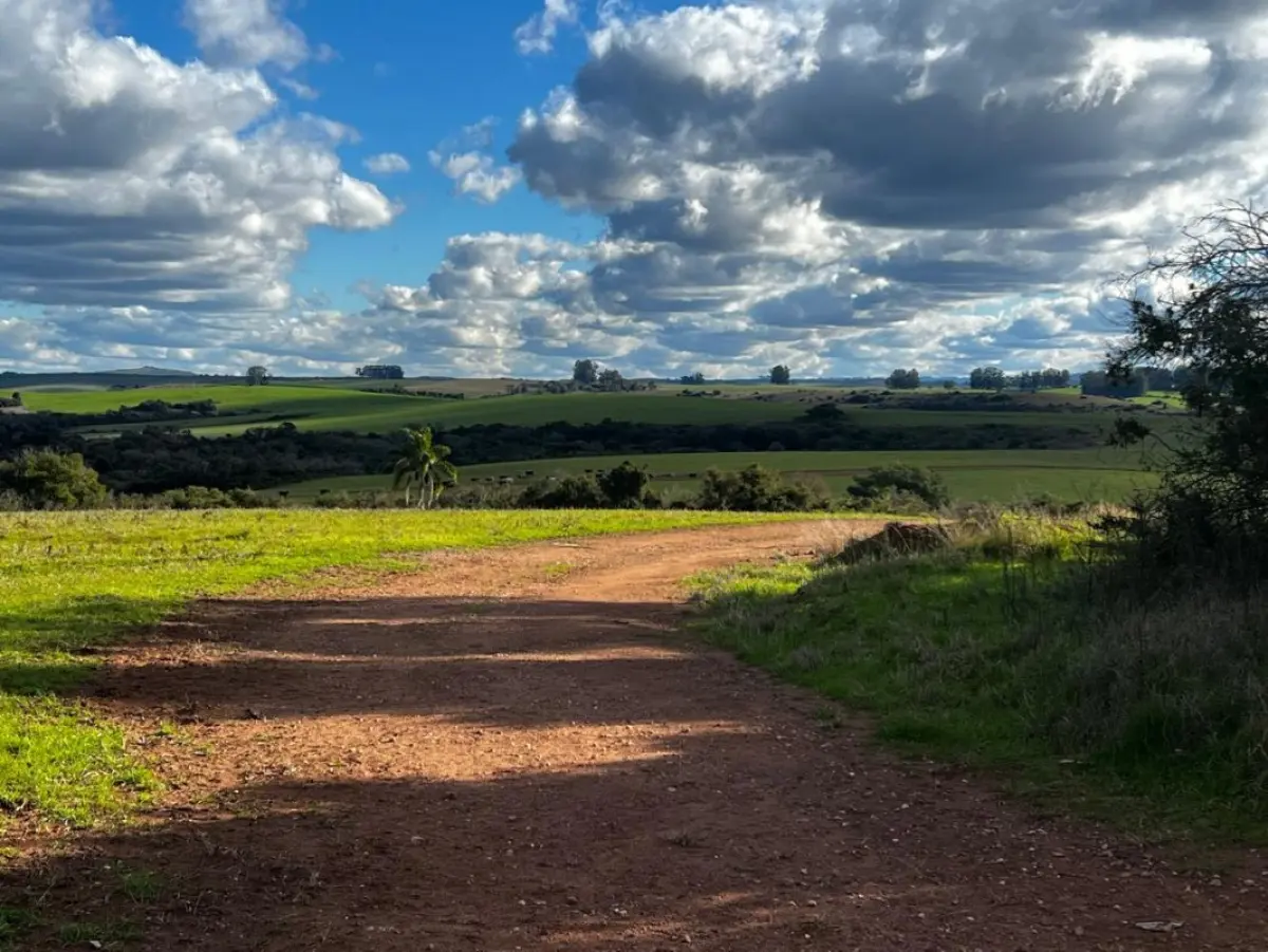 LOTE 001 - Um imóvel rural com área superficial de 1.674.183,00m²