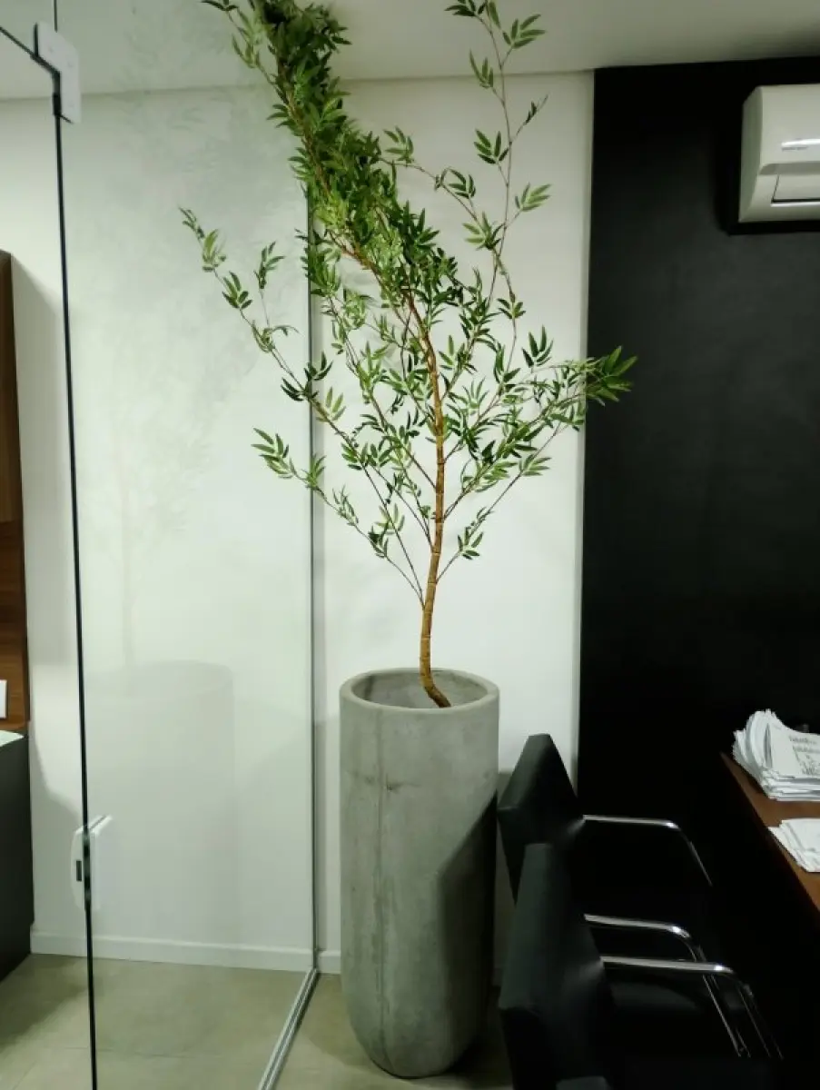 LOTE 134 - 4 Vaso de Cimento com planta