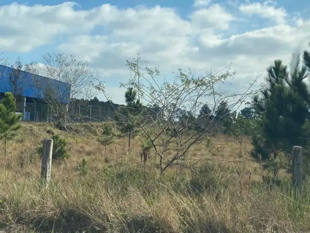 LEILÃO DE TERRENO EM ARARICÁ