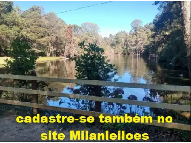 LEILÃO 20 IMÓVEIS EM SP, MG, RS E PA - LOTEAMENTOS - PAVILHÕES - FAZENDAS -  ESTACIONAMENTOS ETC