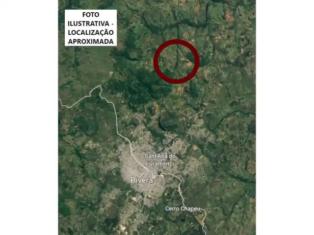 LEILÃO DE ÁREA DE 73ha DE CAMPO EM SANTANA DO LIVRAMENTO