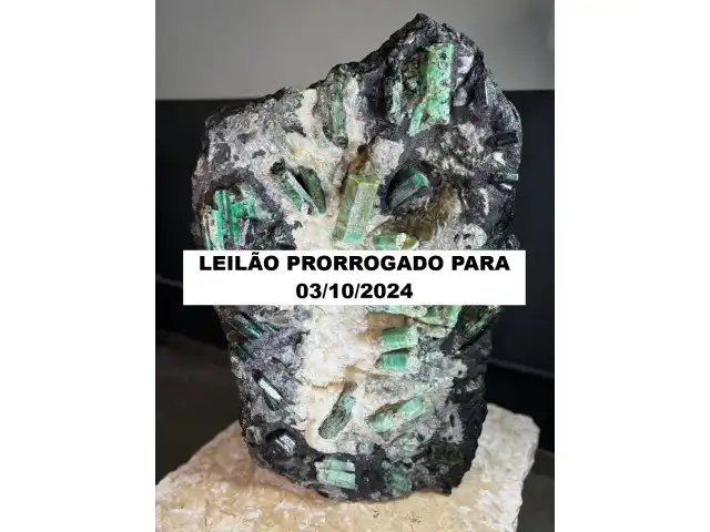 LEILÃO CANGA DE ESMERALDA "CORAÇÃO DA BAHIA" 225 KG COM LAUDO E DOCUMENTOS