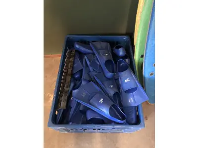 LOTE 083 - aproximadamente 30 pés de pato hammerhead (par)
