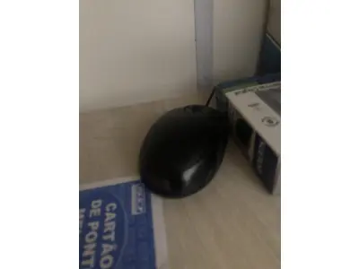LOTE 015 - 1 mouse com fio