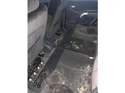 LOTE 000 - VEÍCULO CITROEN/C3 09/09