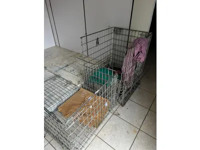 LOTE 000 - Máquinas costura (overlock Jack, plana, overlock antiga, plana Lumak, plana Lanmax, over vermelha) BENS EM  PRESIDENTE GETULIO - SC