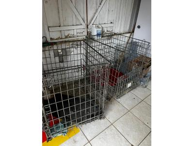 LOTE 000 - Máquinas costura (overlock Jack, plana, overlock antiga, plana Lumak, plana Lanmax, over vermelha) BENS EM  PRESIDENTE GETULIO - SC